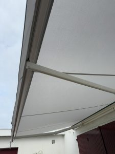 IMG_0354