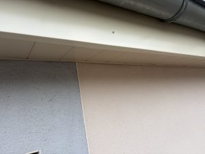 IMG_1787