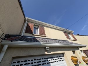 IMG_2915