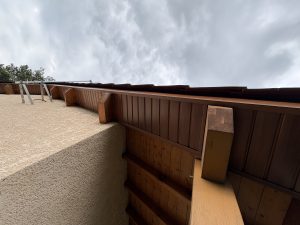 IMG_3083