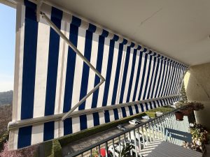 IMG_3551